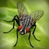 /album/diversion-movil/photolia-a01-jpg/