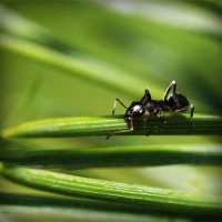 /album/diversion-movil/photolia-a05-jpg/