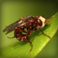 /album/diversion-movil/photolia-a06-jpg/