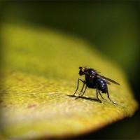 /album/diversion-movil/photolia-a07-jpg/