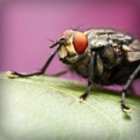 /album/diversion-movil/photolia-a08-jpg/